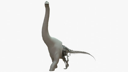 Brachiosaurus 3D Model Rigged Basemesh Skeleton