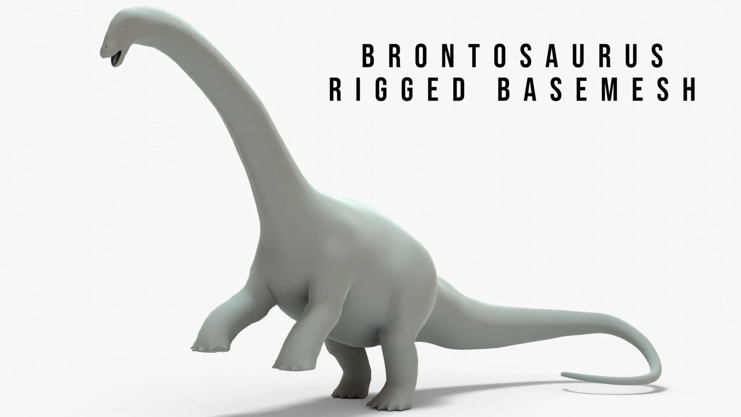 Brontosaurus 3D Model Rigged Basemesh