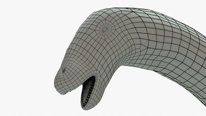 Brontosaurus 3D Model Rigged Basemesh