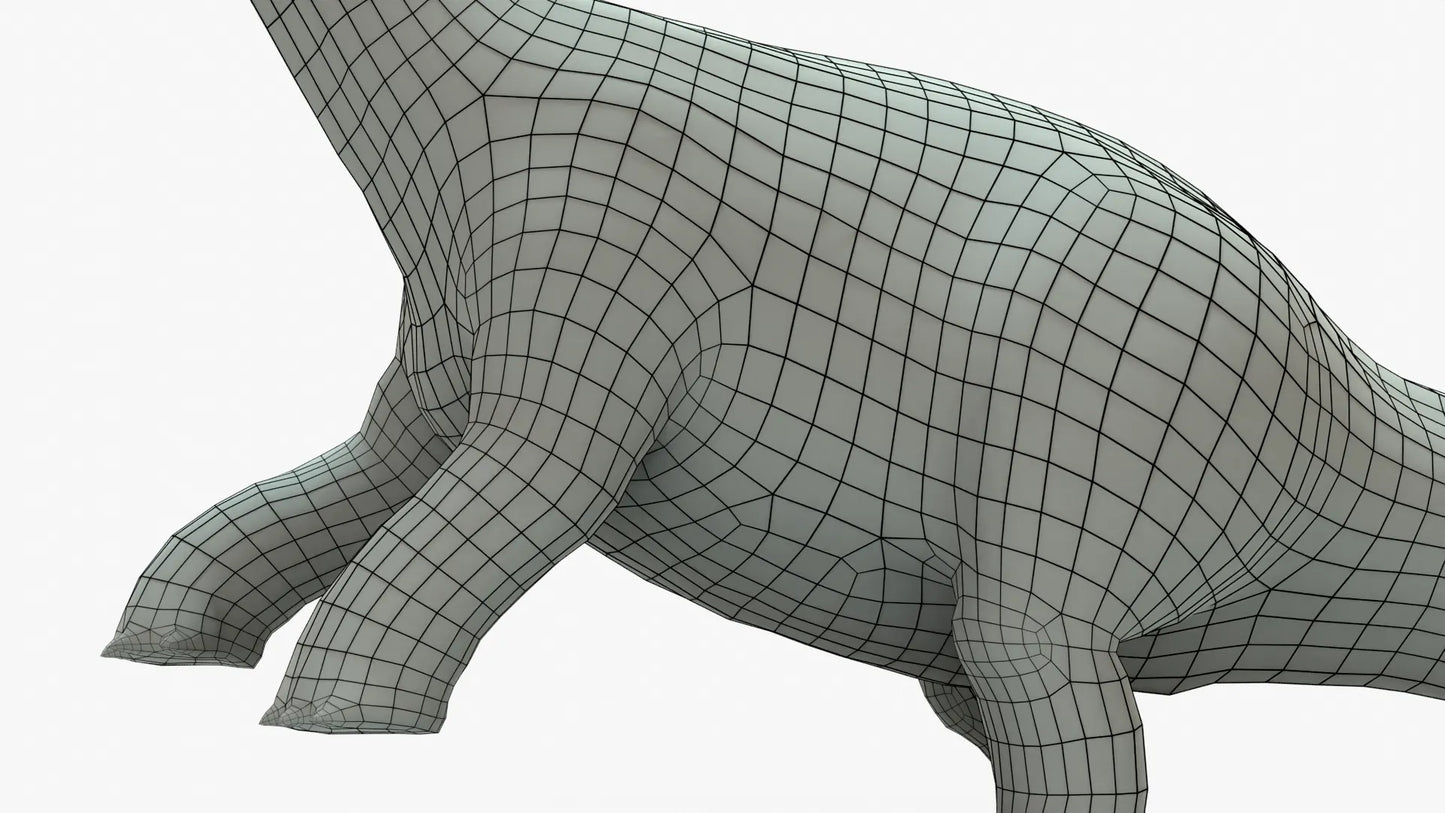 Brontosaurus 3D Model Rigged Basemesh