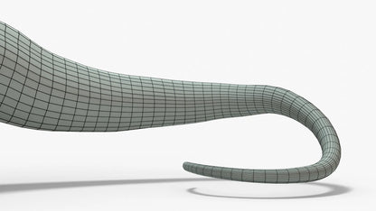 Brontosaurus 3D Model Rigged Basemesh