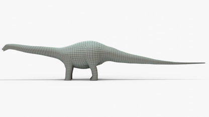 Brontosaurus 3D Model Rigged Basemesh