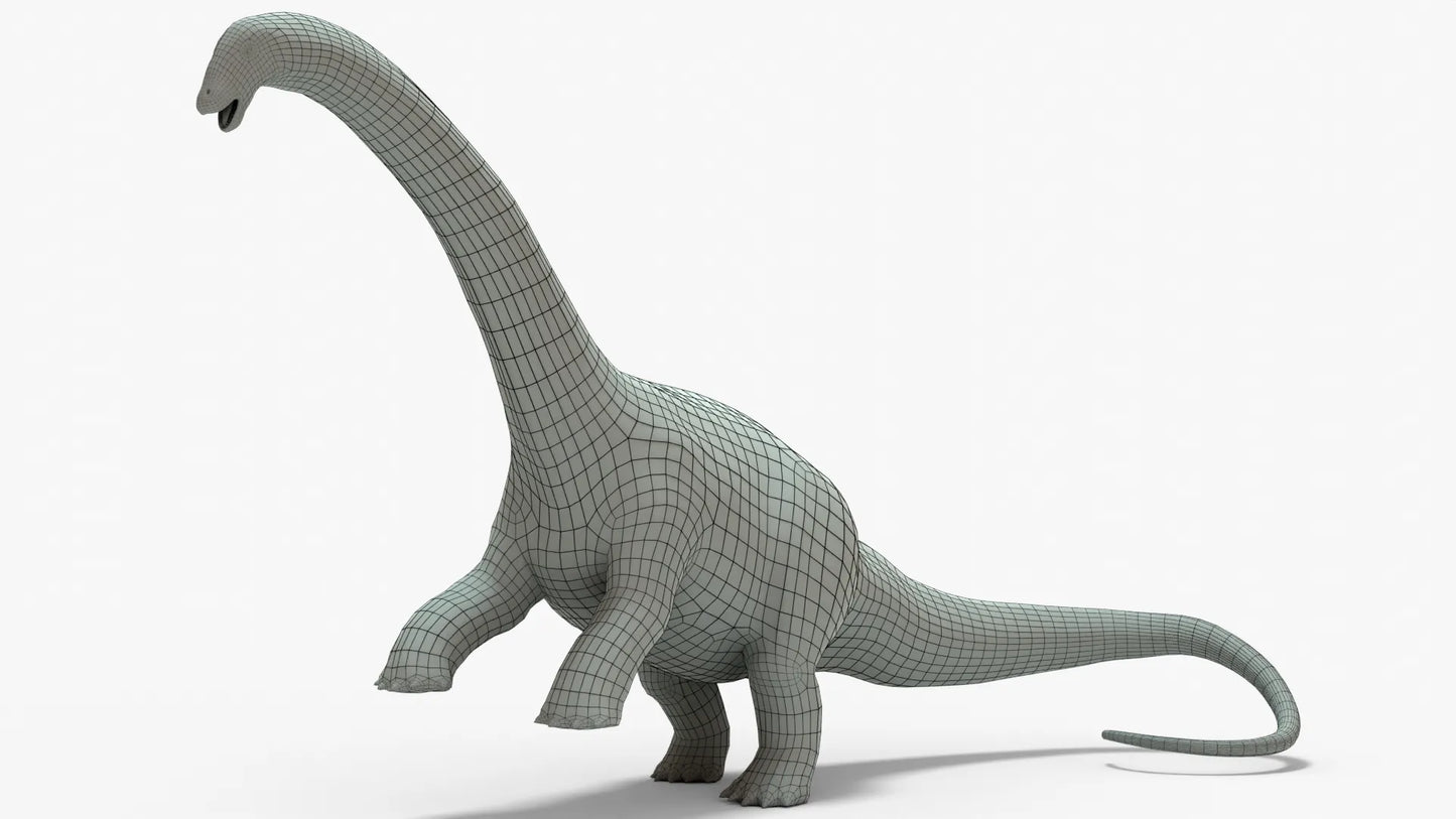 Brontosaurus 3D Model Rigged Basemesh