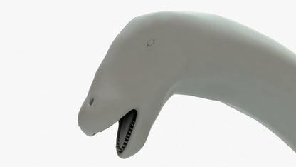 Brontosaurus 3D Model Rigged Basemesh