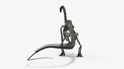 Brontosaurus 3D Model Rigged Skeleton