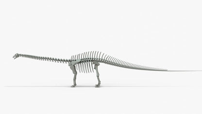 Brontosaurus 3D Model Rigged Skeleton