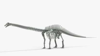 Brontosaurus 3D Model Rigged Skeleton