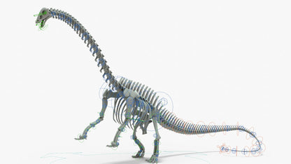 Brontosaurus 3D Model Rigged Skeleton