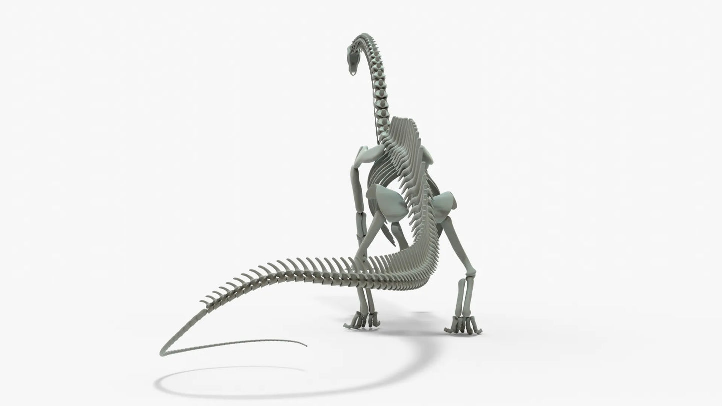 Brontosaurus 3D Model Rigged Skeleton