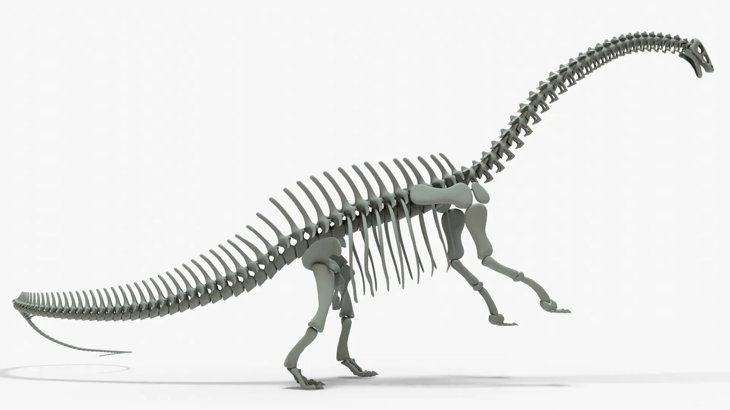 Brontosaurus 3D Model Rigged Skeleton