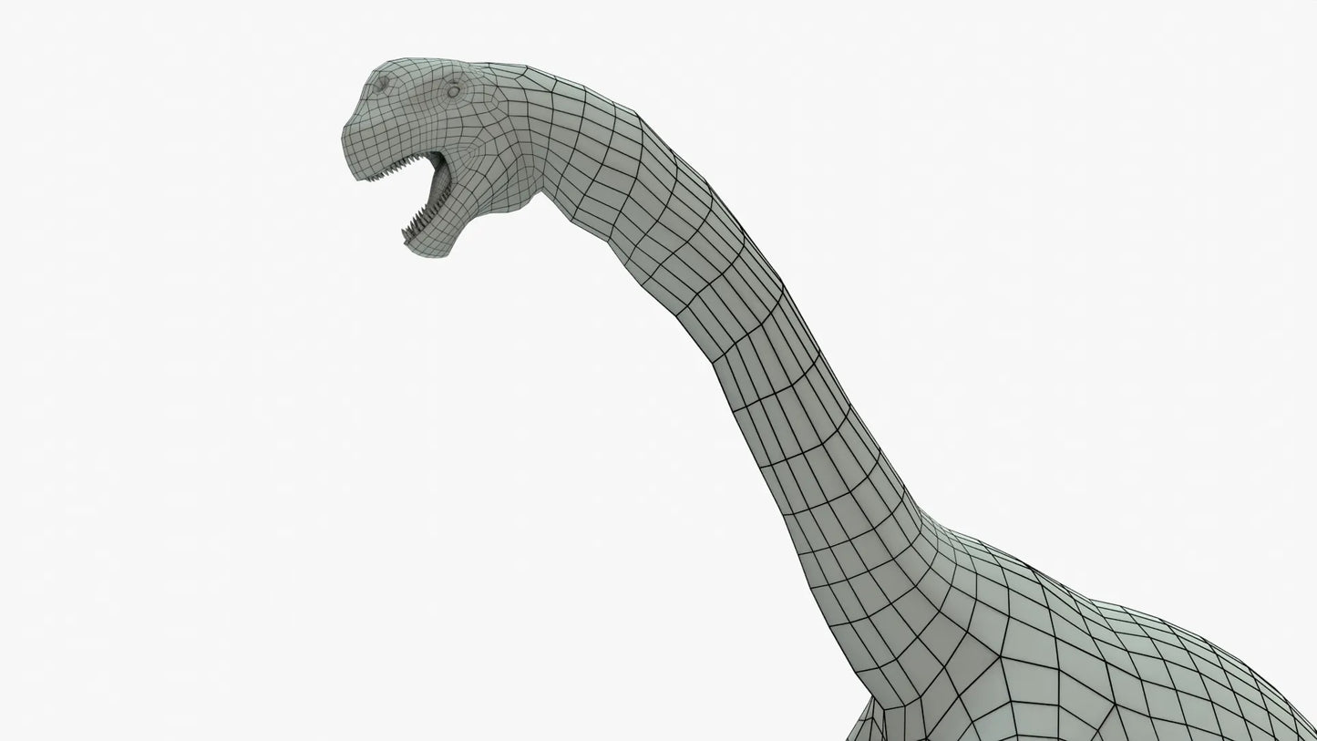 Camarasaurus 3D Model Rigged Basemesh