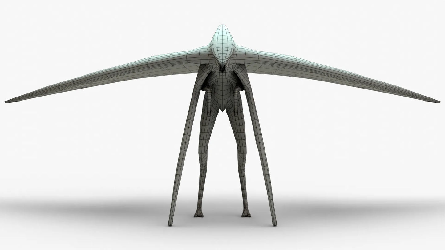 Hokmuto Rigged Basemesh 3D Model