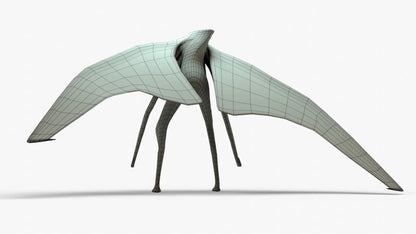 Hokmuto Rigged Basemesh 3D Model