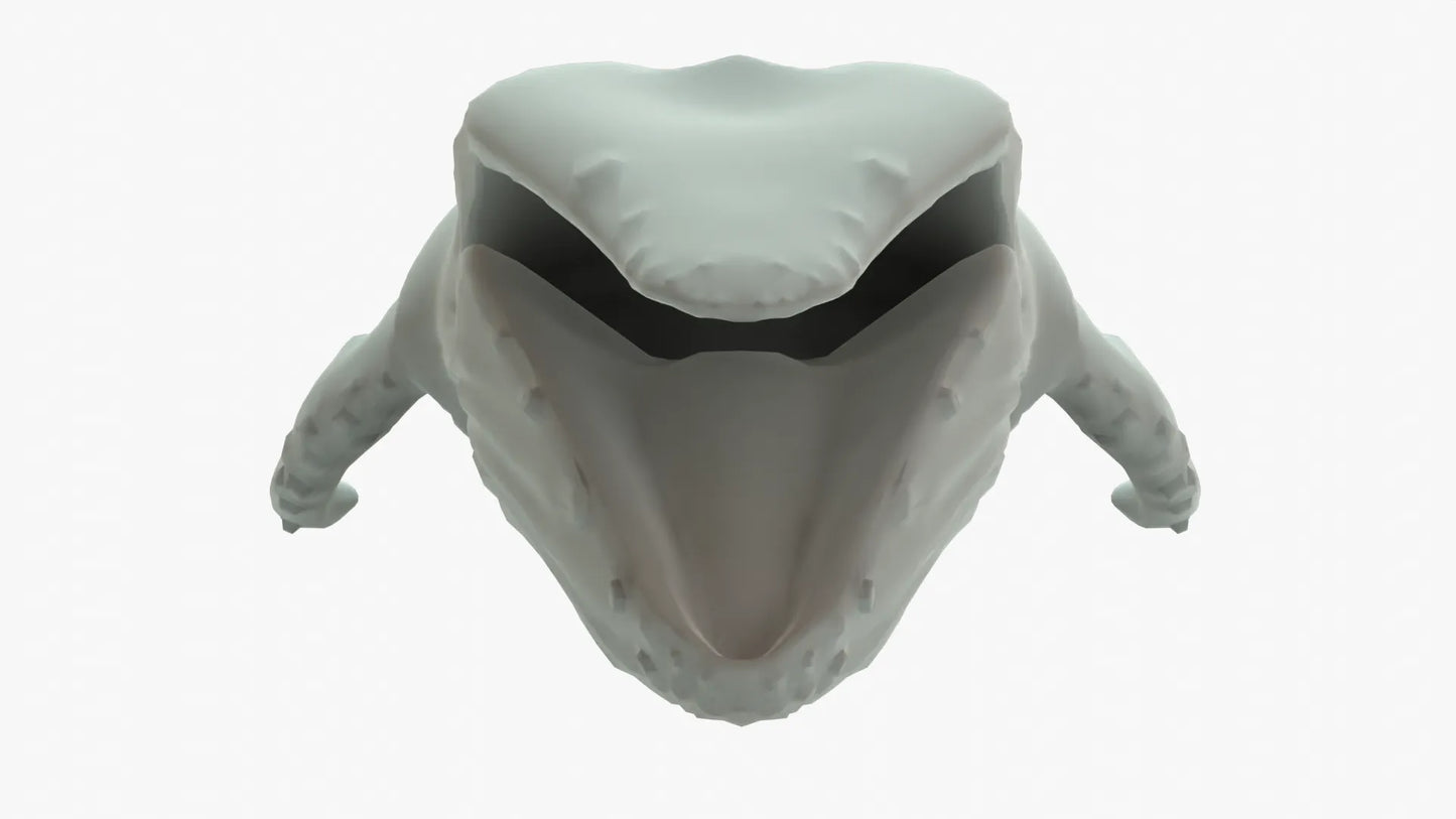 Humpback Whale 3D Model Rigged Basemesh