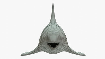 Killer Whale 3D Model Rigged Basemesh