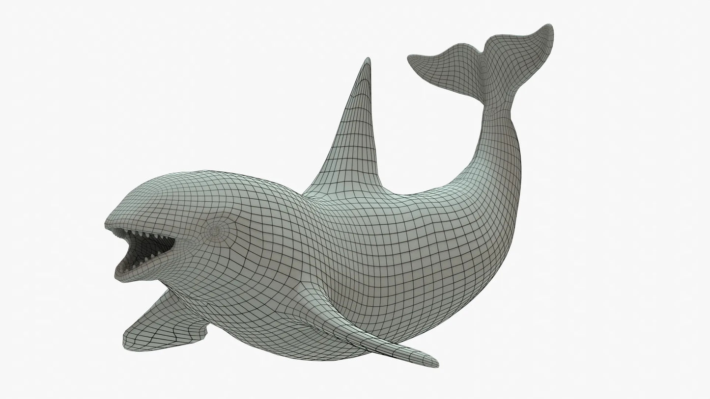 Killer Whale 3D Model Rigged Basemesh