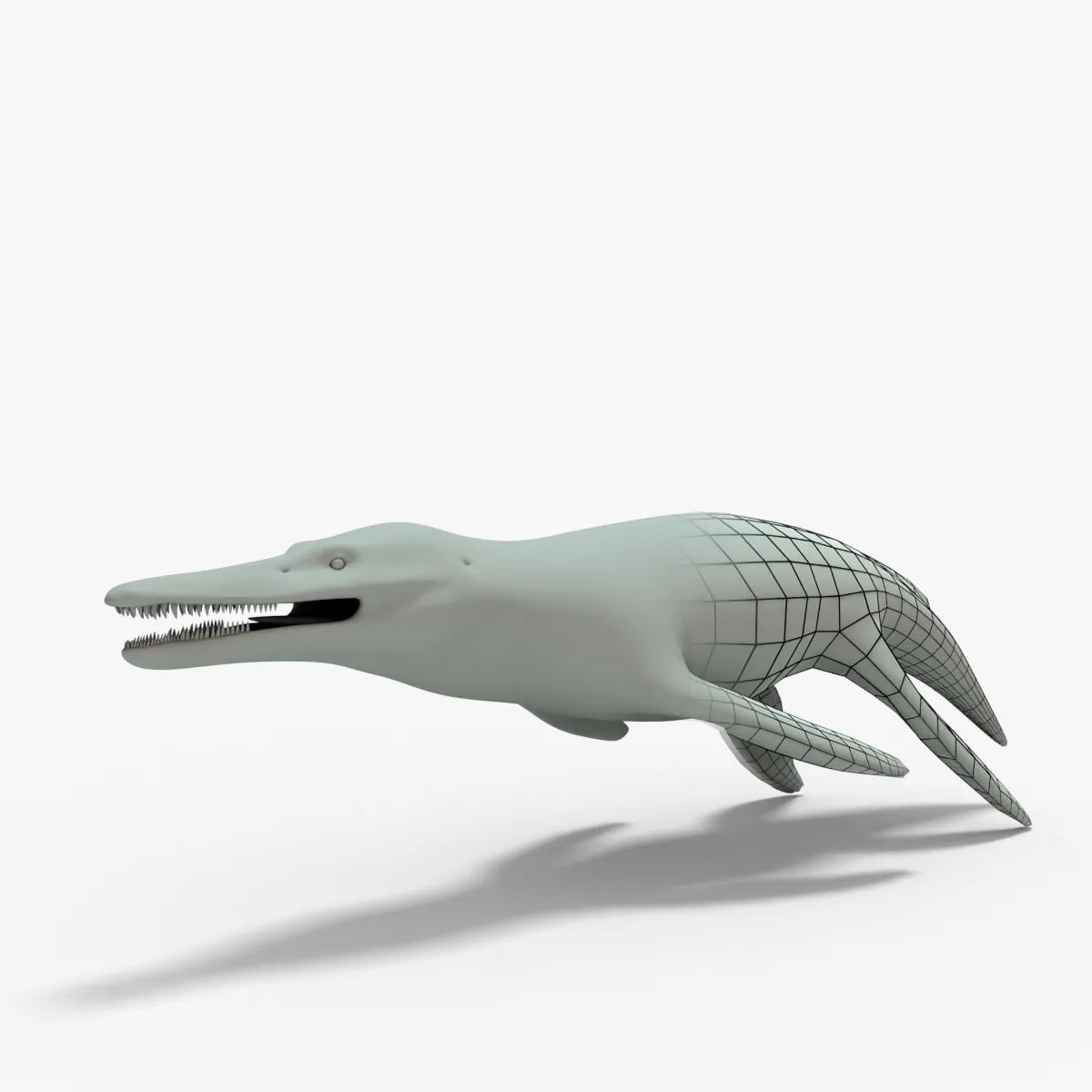 Kronosaurus Rigged Basemesh 3D Model