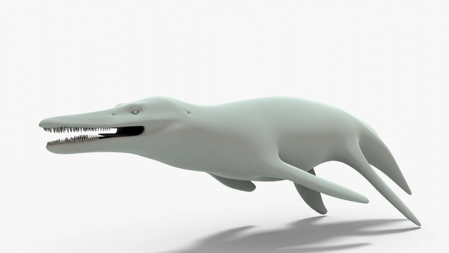 Kronosaurus Rigged Basemesh 3D Model