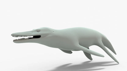 Kronosaurus Rigged Basemesh 3D Model