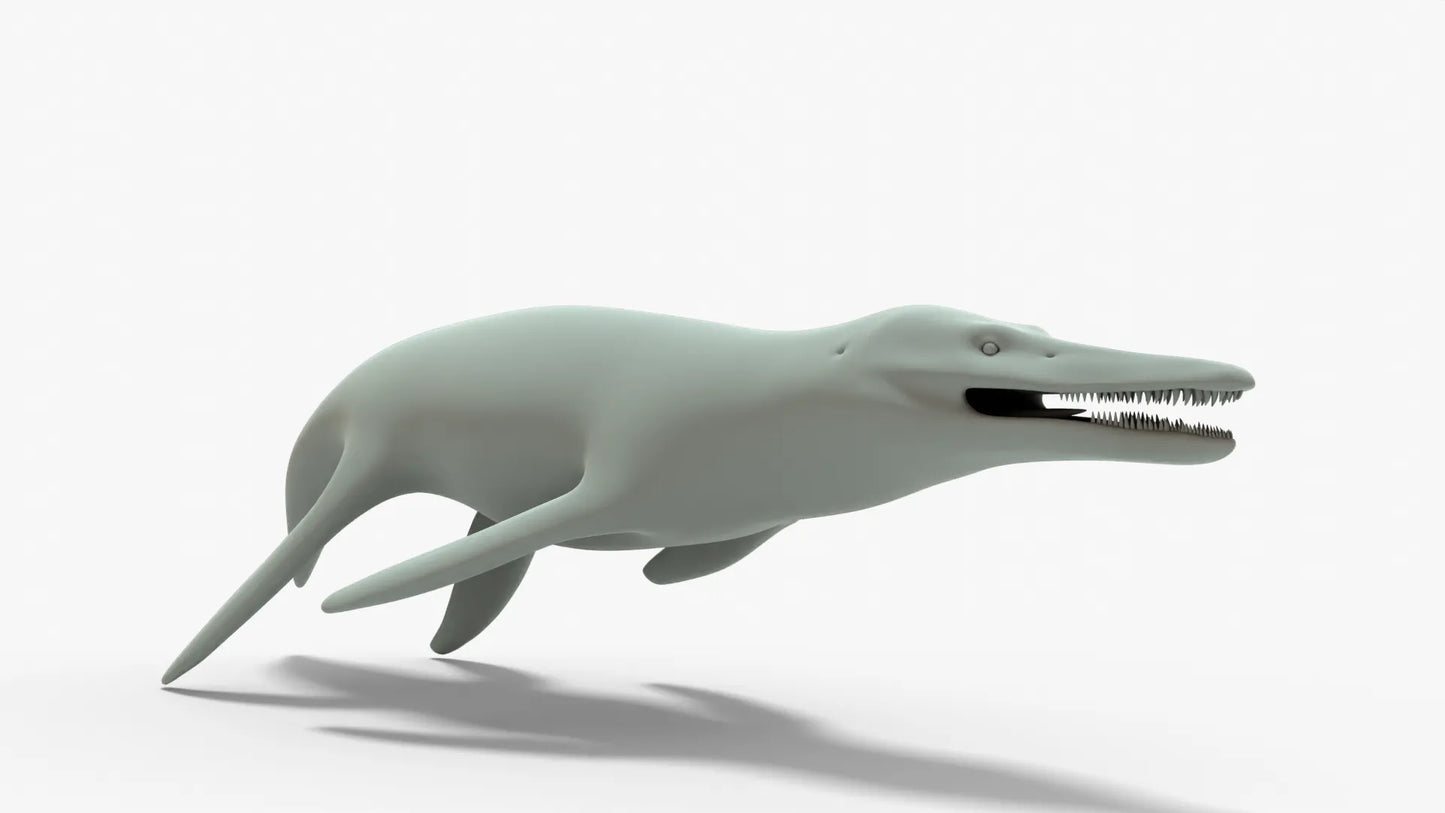 Kronosaurus Rigged Basemesh 3D Model