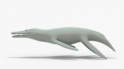 Kronosaurus Rigged Basemesh 3D Model