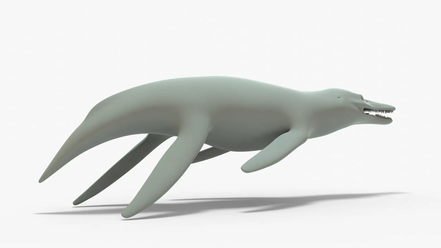 Kronosaurus Rigged Basemesh 3D Model