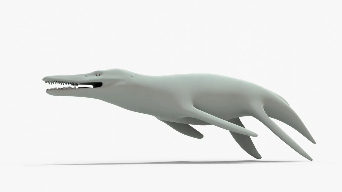 Kronosaurus Rigged Basemesh 3D Model