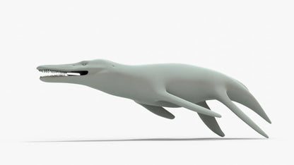 Kronosaurus Rigged Basemesh 3D Model