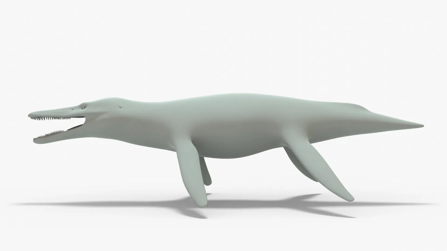 Kronosaurus Rigged Basemesh 3D Model