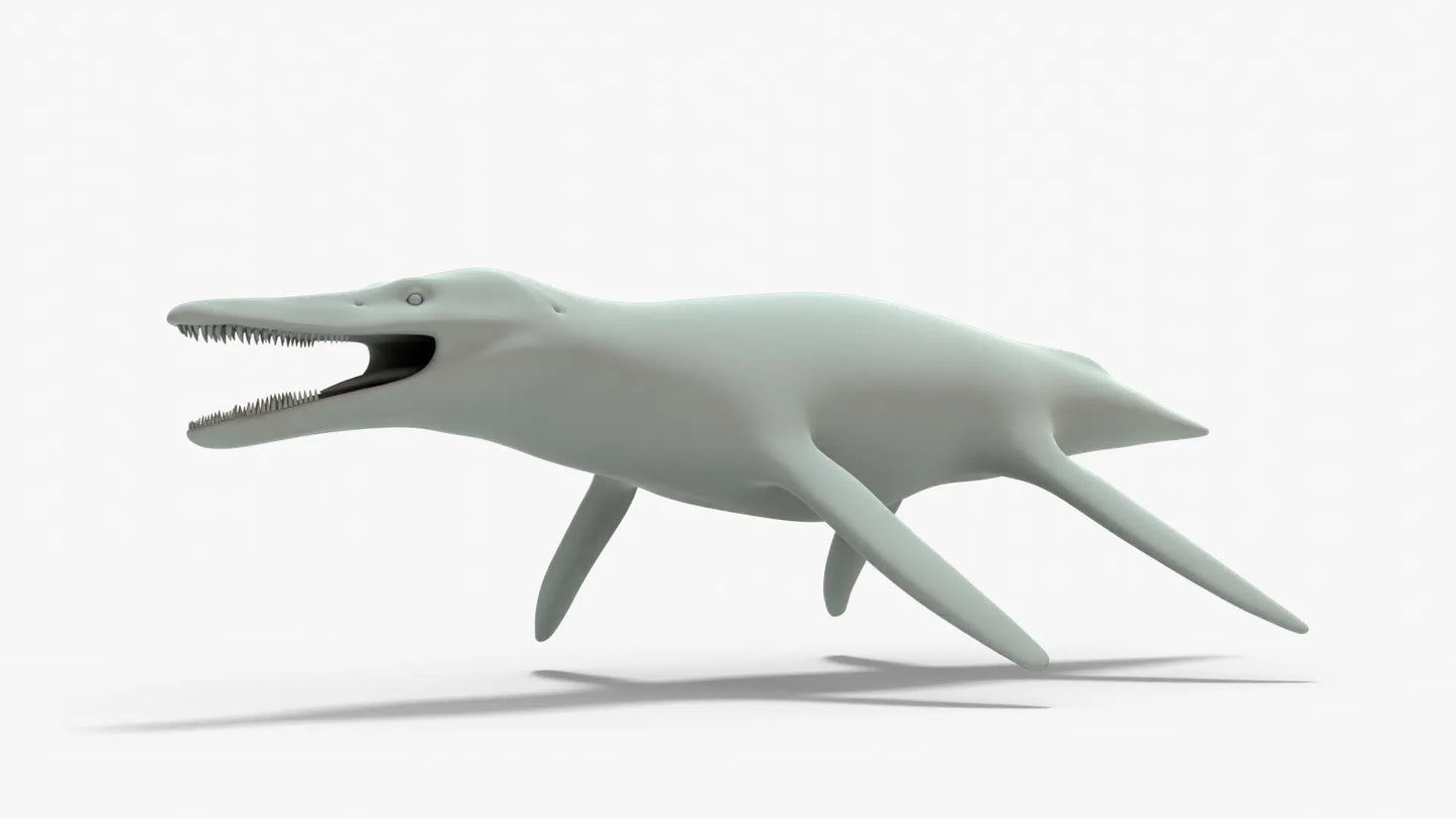 Kronosaurus Rigged Basemesh 3D Model