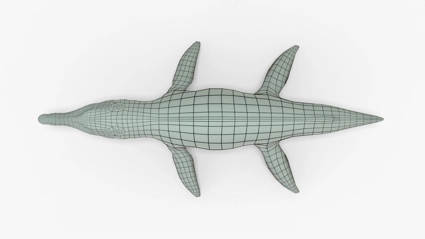 Kronosaurus Rigged Basemesh 3D Model