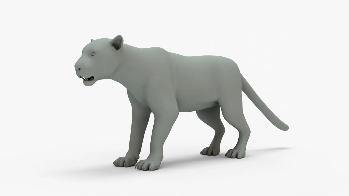 Leopard 3D Model Rigged Basemesh