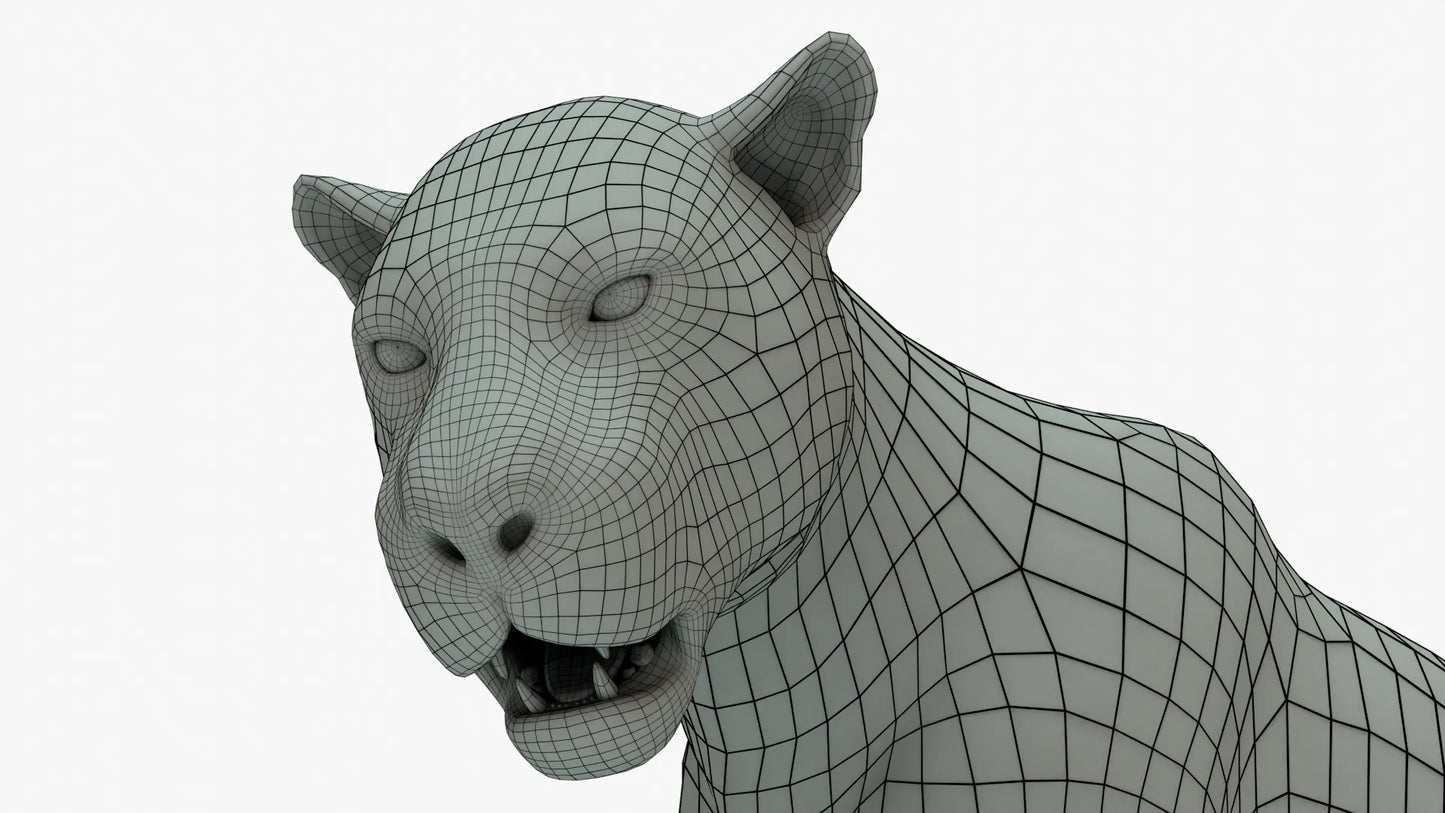 Leopard 3D Model Rigged Basemesh