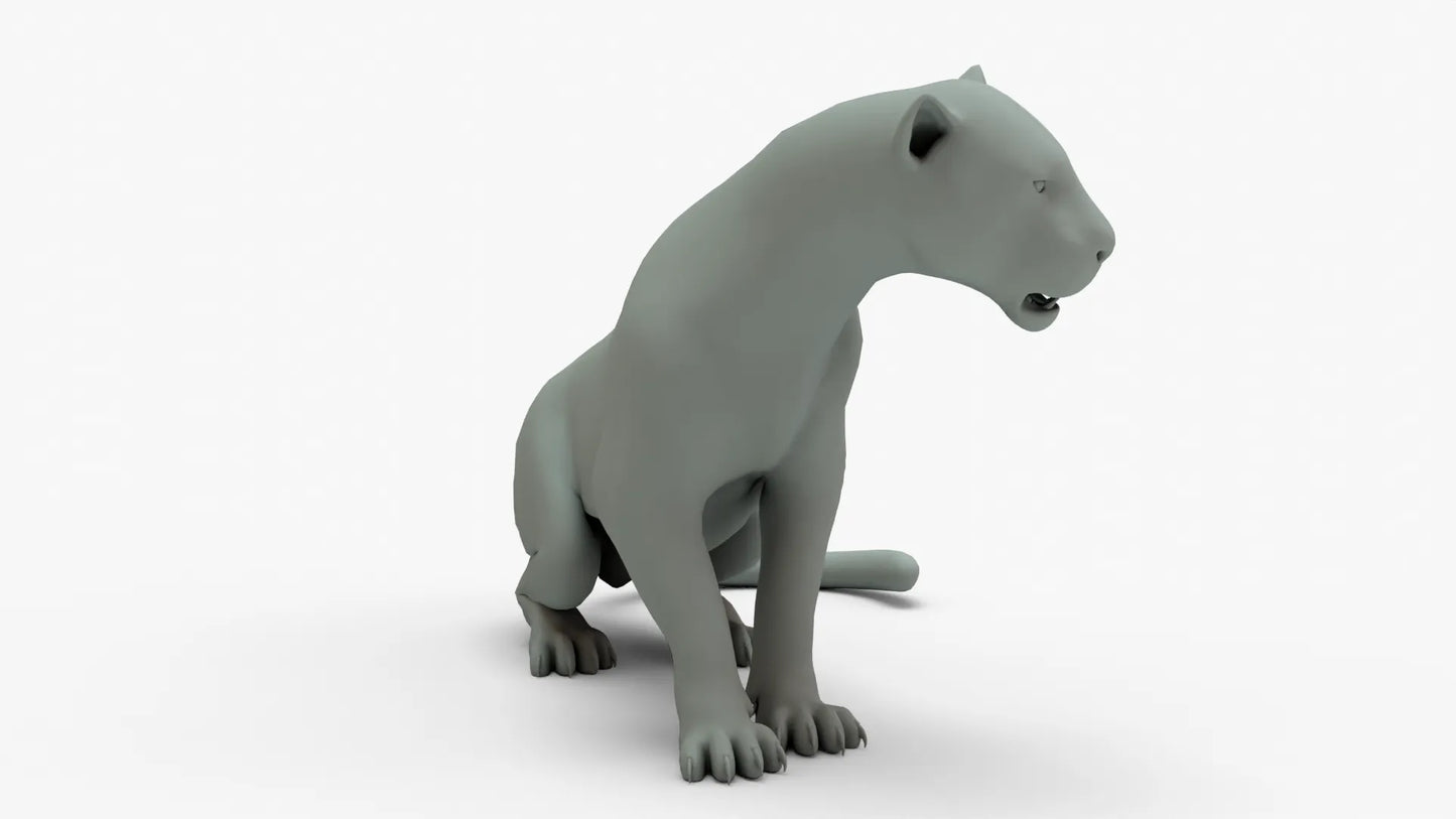 Leopard 3D Model Rigged Basemesh