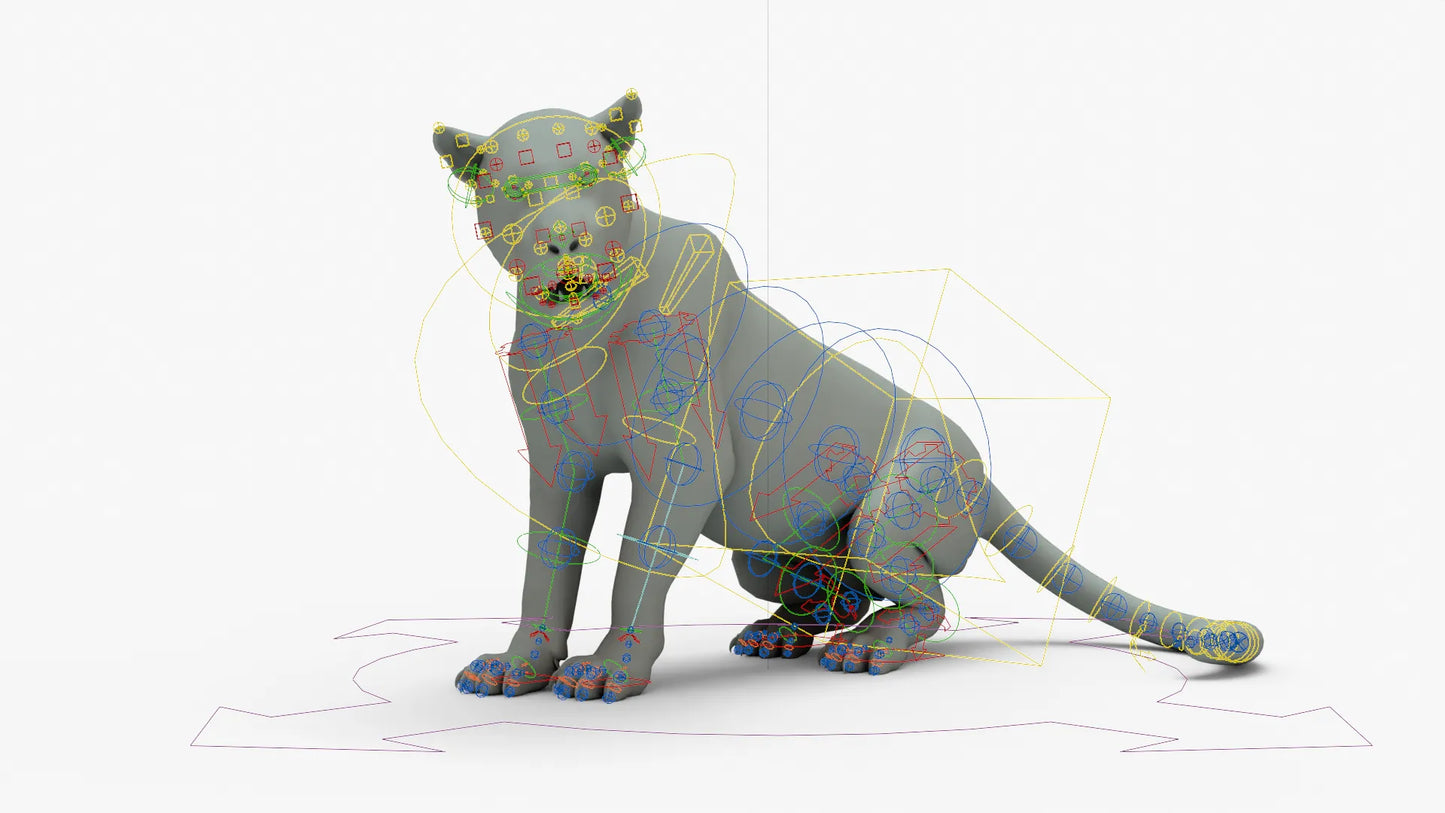 Leopard 3D Model Rigged Basemesh