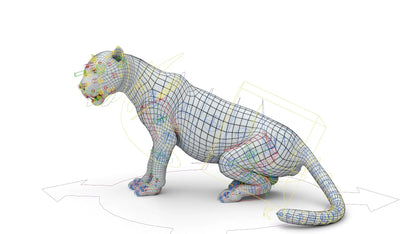 Leopard 3D Model Rigged Basemesh