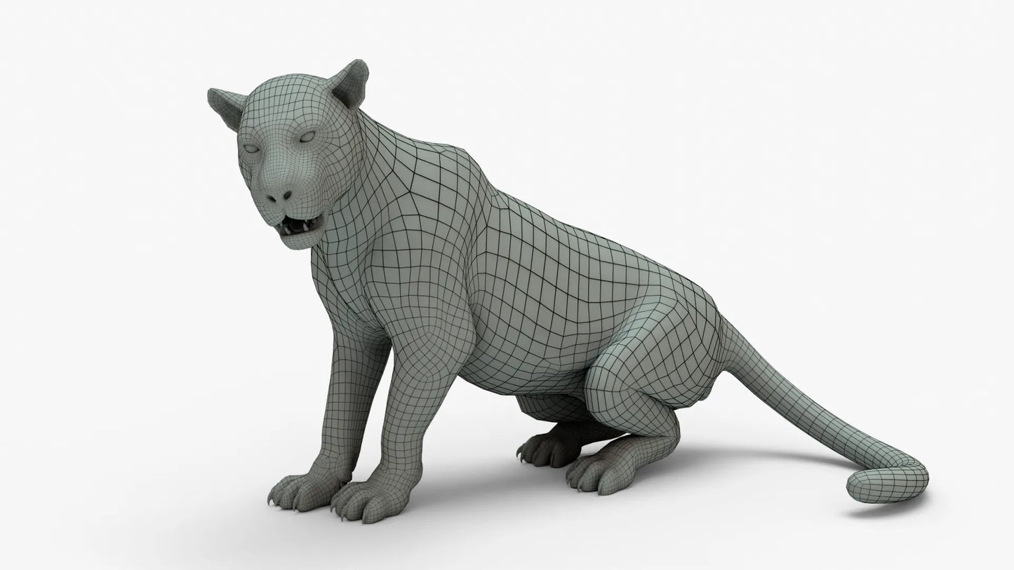 Leopard 3D Model Rigged Basemesh