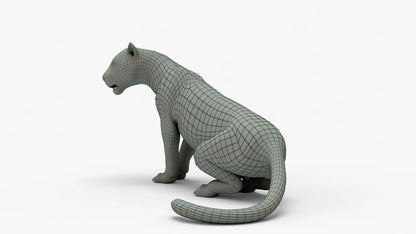 Leopard 3D Model Rigged Basemesh