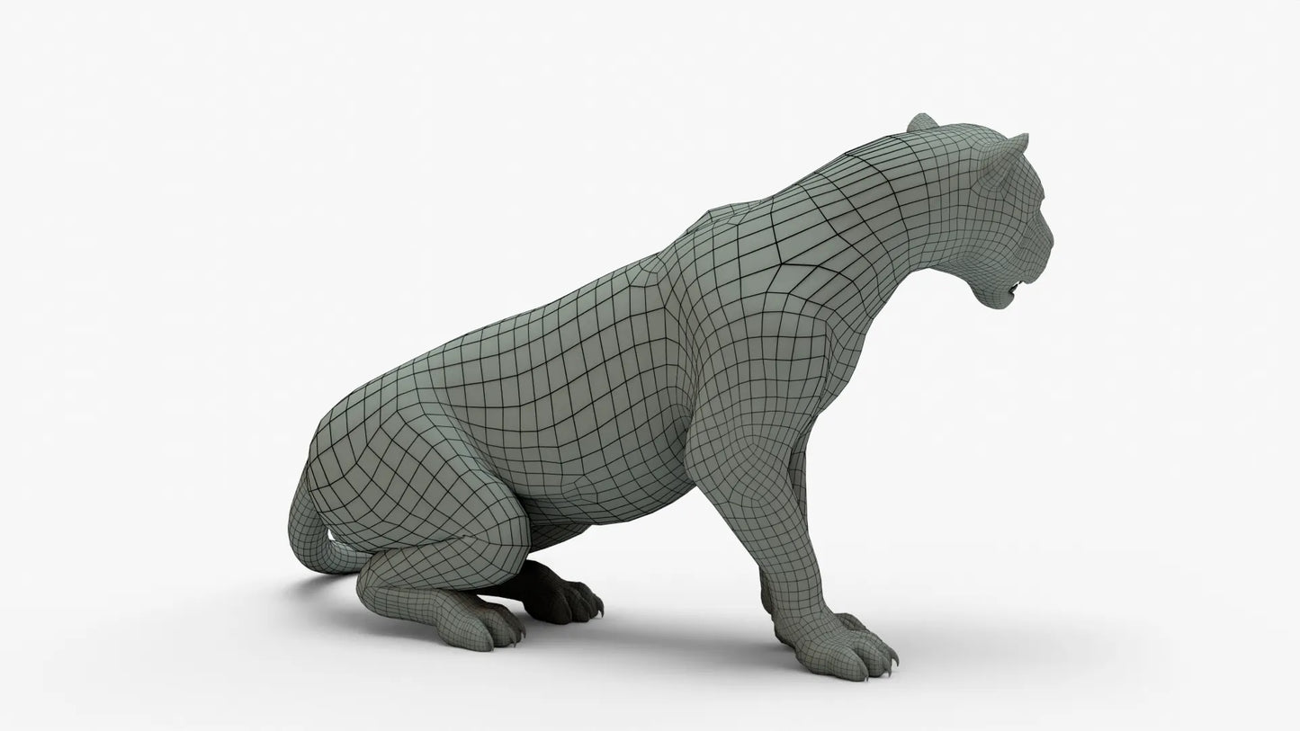 Leopard 3D Model Rigged Basemesh