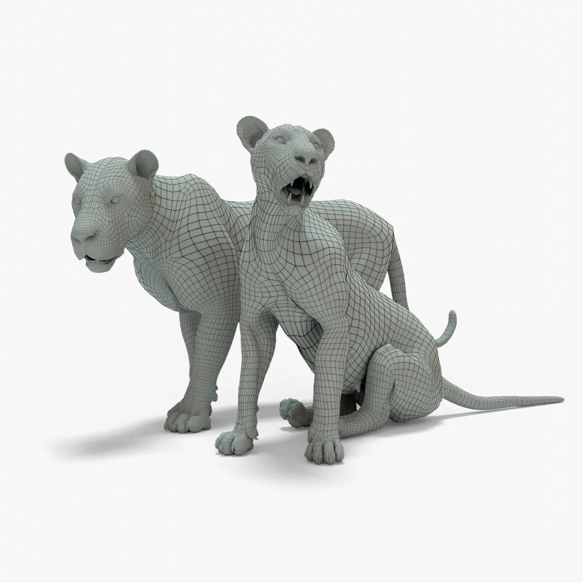 Couple Lion 3D Model Rigged Basemesh