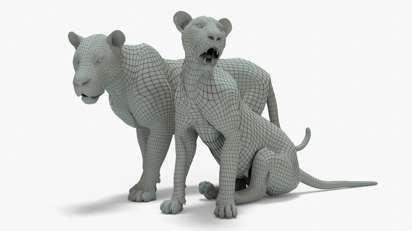 Couple Lion 3D Model Rigged Basemesh