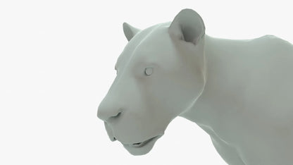 Lion 3D Model Rigged Basemesh