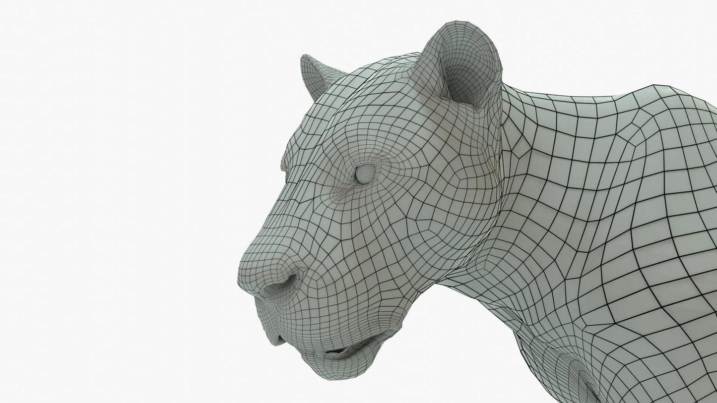 Couple Lion 3D Model Rigged Basemesh