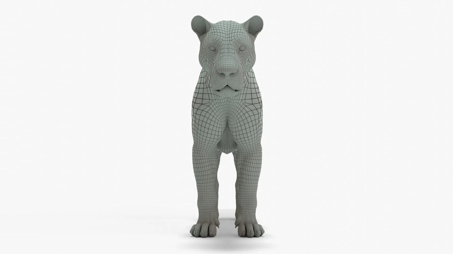 Lion 3D Model Rigged Basemesh