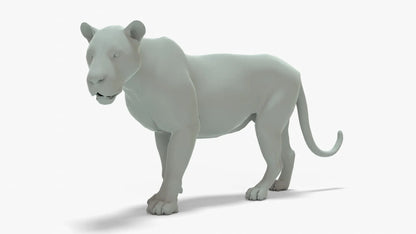 Lion 3D Model Rigged Basemesh