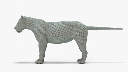 Lion 3D Model Rigged Basemesh