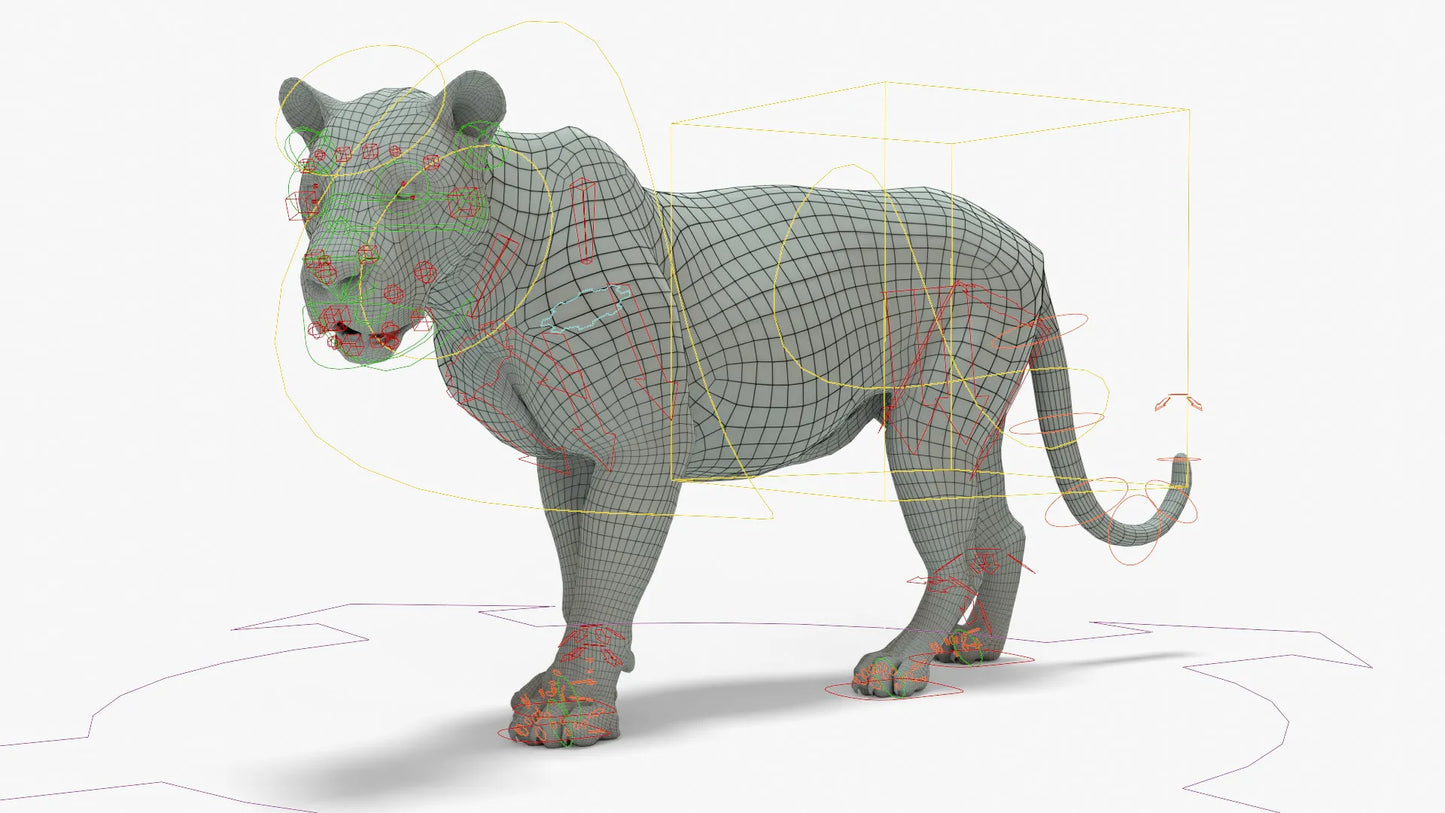 Lion 3D Model Rigged Basemesh