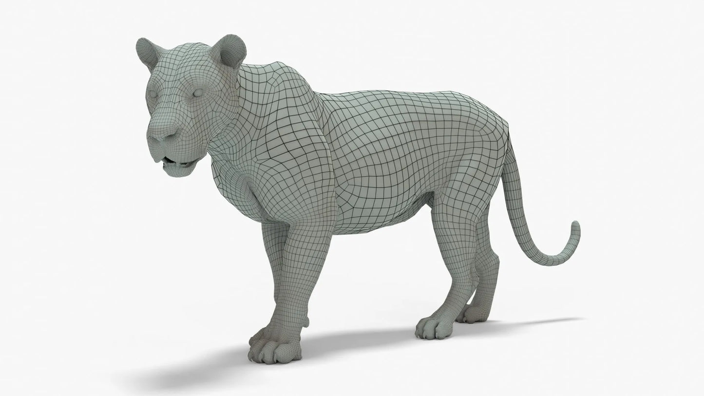 Couple Lion 3D Model Rigged Basemesh