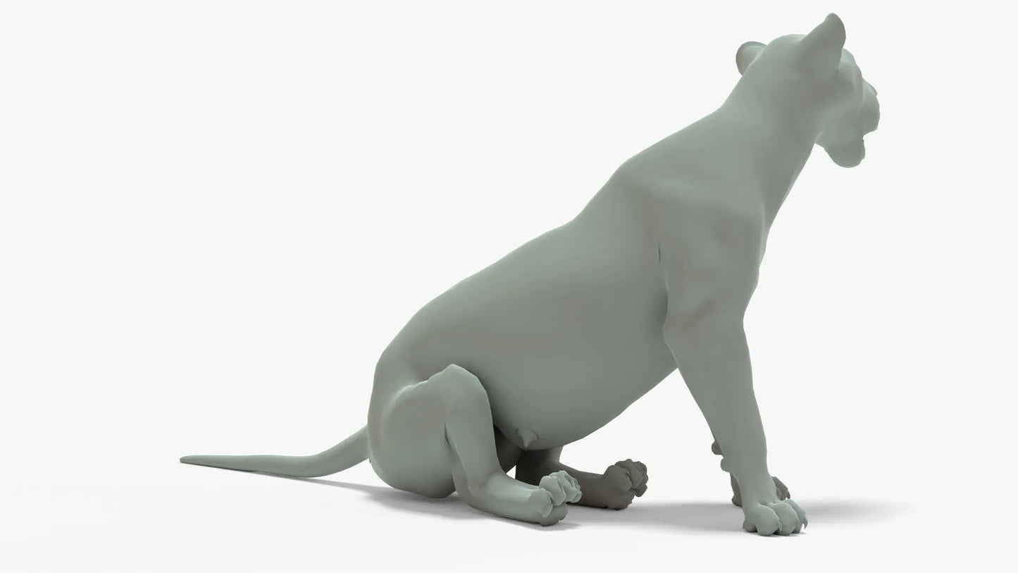 Lioness 3D Model Rigged Basemesh