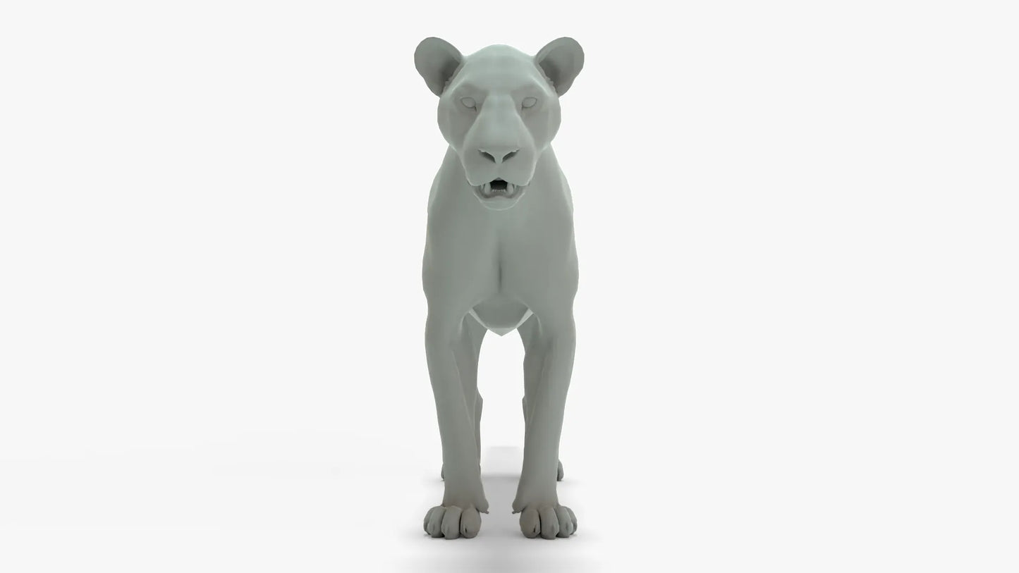 Couple Lion 3D Model Rigged Basemesh